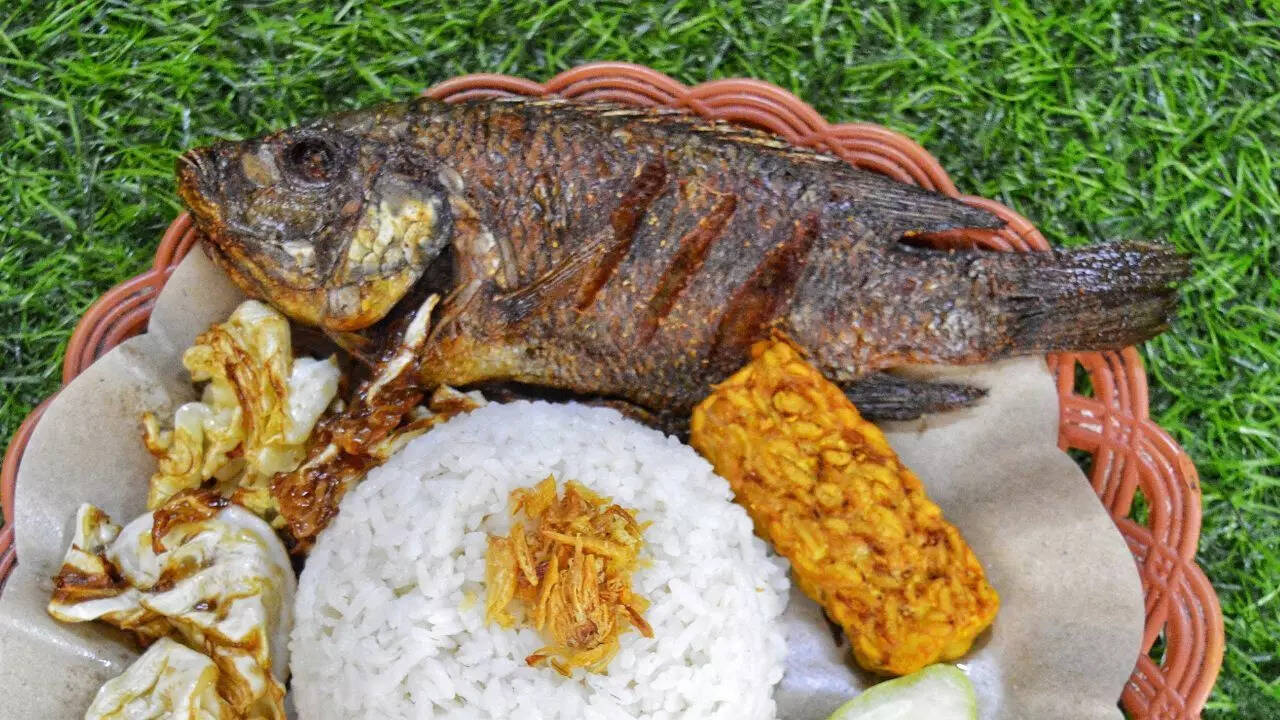 Why does dark muscle appear in the fish